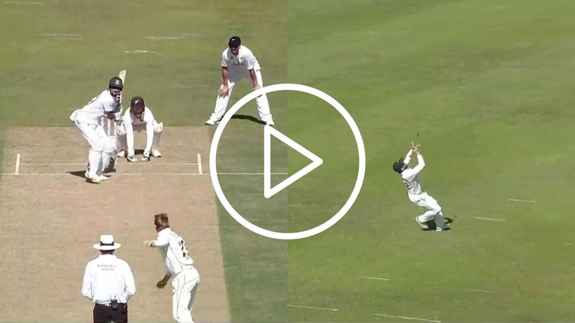 [Watch] Najmul Hossain Shanto’s ‘Rusty’ Shot Fails Miserably; Kane Williamson Takes A Skier